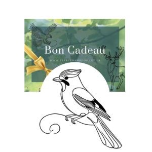 Bon cadeau pass annuel 3-11 ans