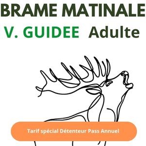 Abo. Brame matinale Visite guidée Adulte 12 ans et +