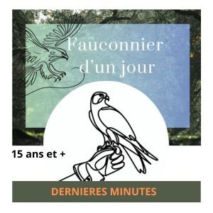 Fauconnier d'un Jour Adulte + 15 ans [dernière minute]
