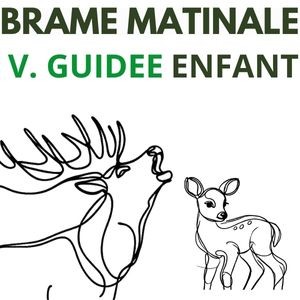 Brame matinale Visite guidée enfant 8-11ans