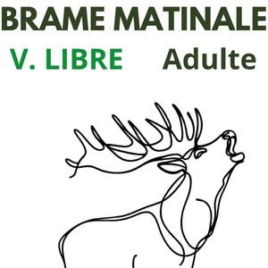 Brame Matinale Visite libre Adulte 12 ans et +