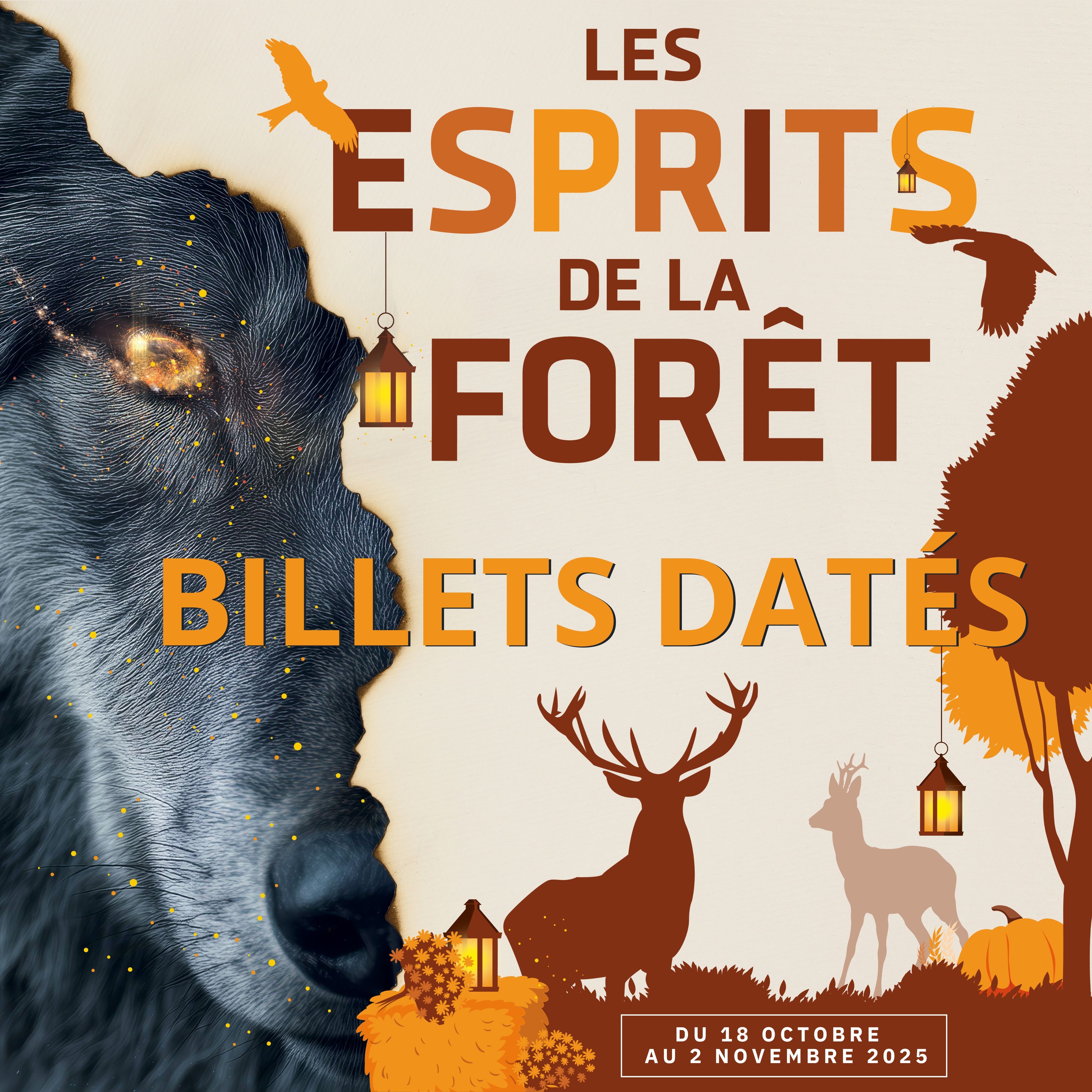 Billet Daté Plein tarif 3-11ans Esprits de la Forêt