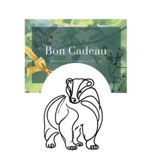 Bon cadeau pass annuel 12 ans et +