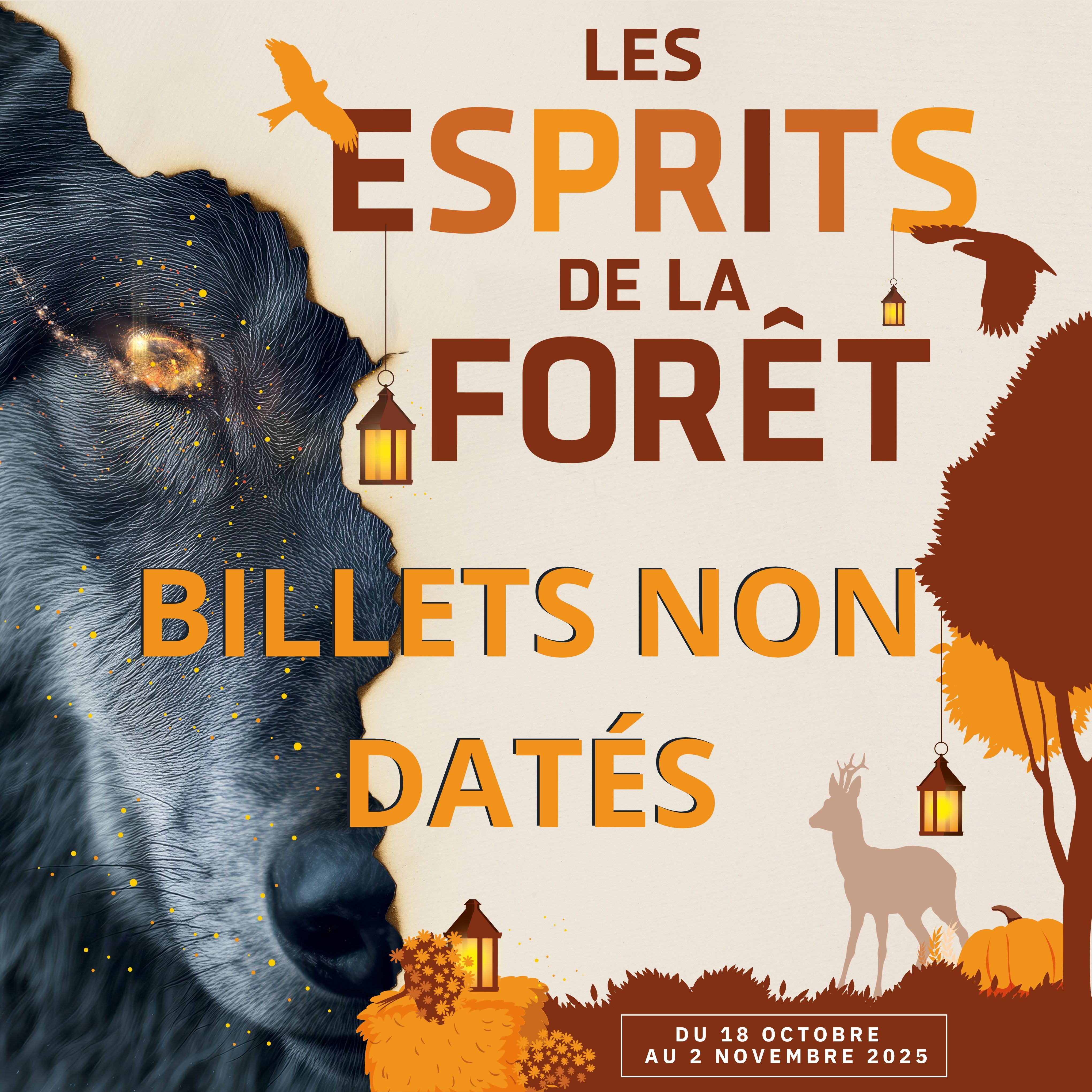 Billet Plein tarif 3-11ans Esprits de la Forêt