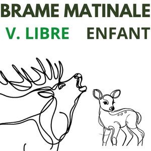 Brame matinale Visite libre Enfant 8-11 ans