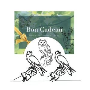 Bon Cadeau Fauconnier d'un jour (1 adulte + 2 enfants)