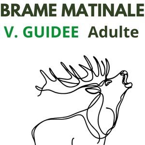 Brame matinale Visite guidée adulte 12 ans et +