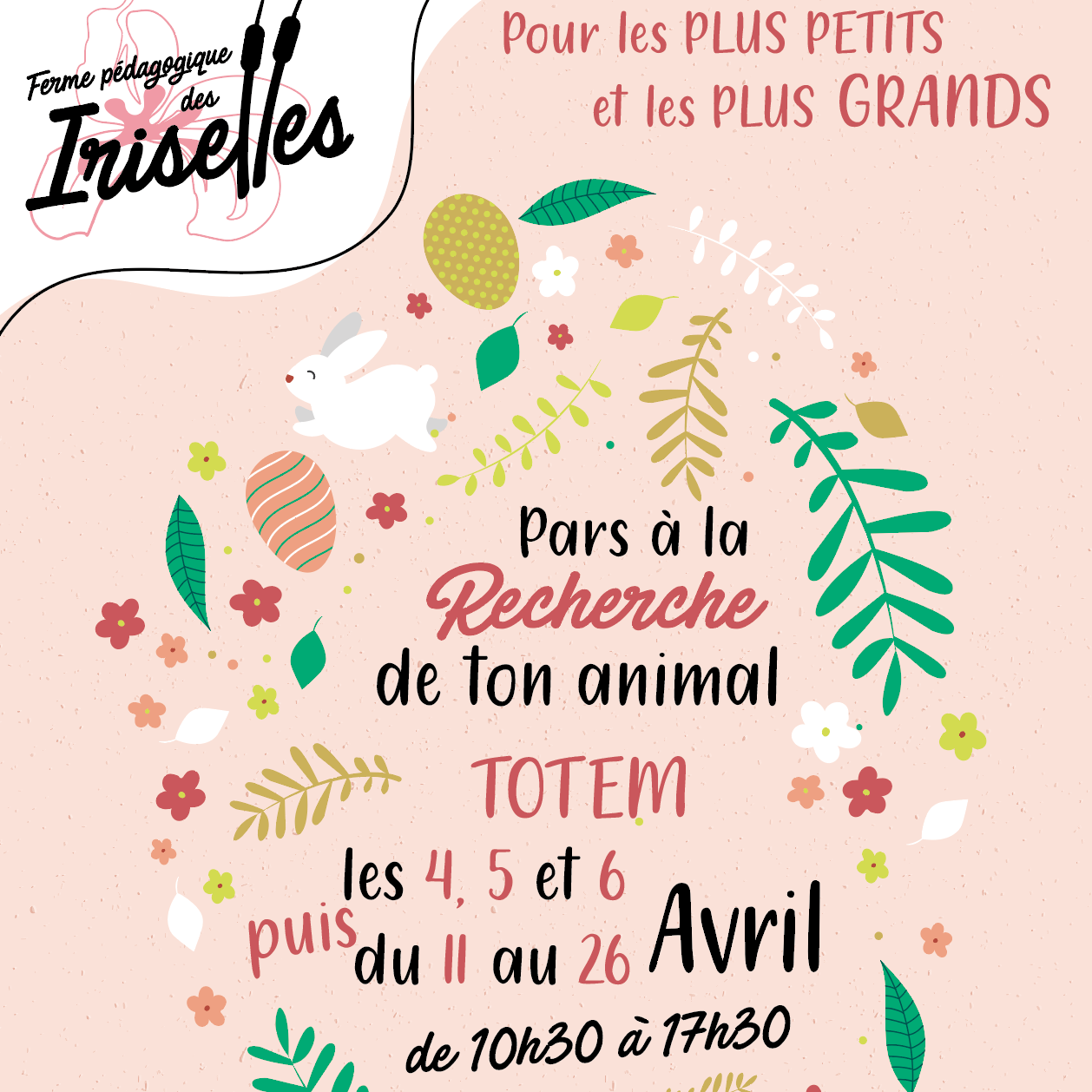 Entrée accompagnateur Printemps