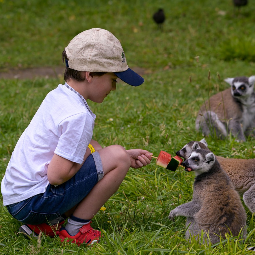 Anniversaire Inoubliable