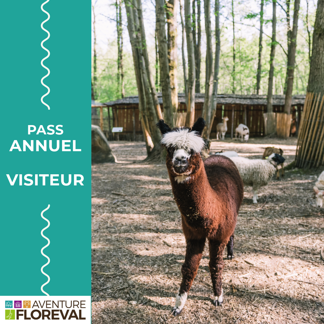 Pass Annuel Visiteur