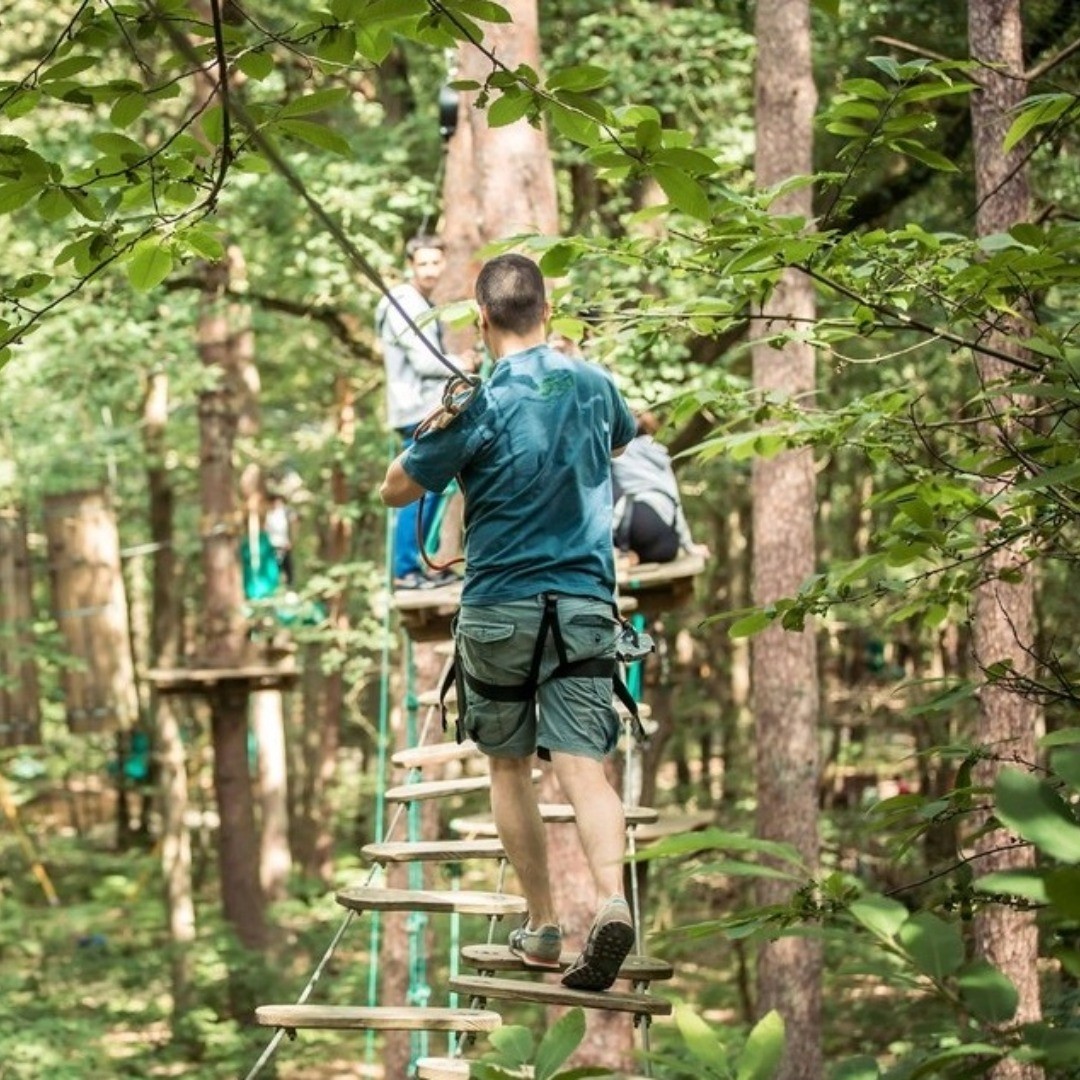 Accrobranche accompagnant Enfant Parcours verts