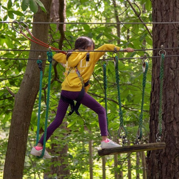 Accrobranche 6-8 ans + Accro Spider