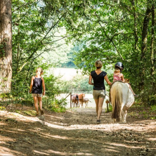 Entrée de 6 à 8 ans + balade à poney + Kart à pédales