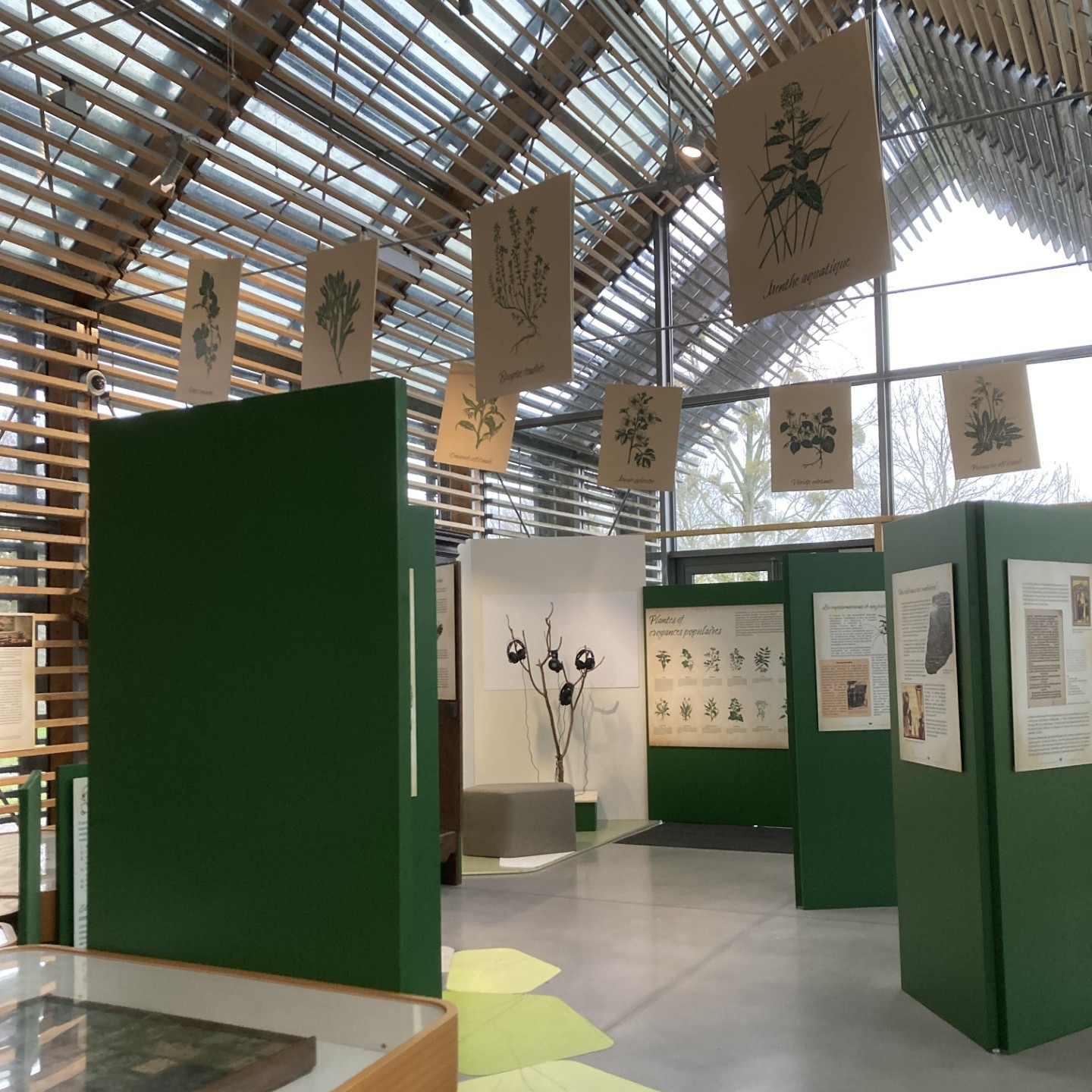 18/04 Sortie Expo Herboristerie : plantes