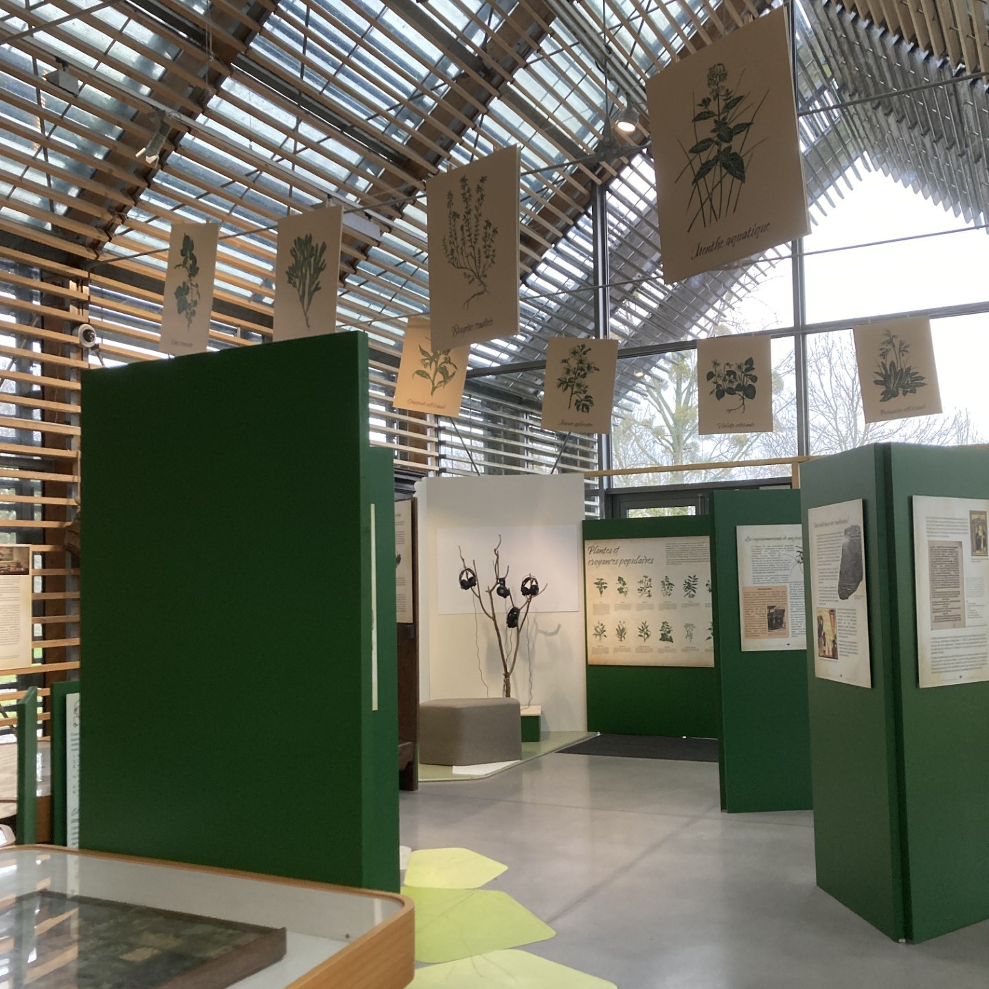 23/03 Atelier Expo Herboristerie : la tisane dans tous ses états