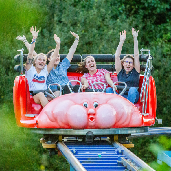 Adulte (12 ans et +) 2026