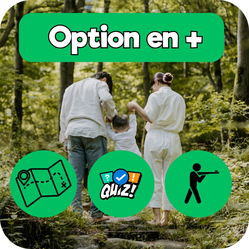 OPTIONS