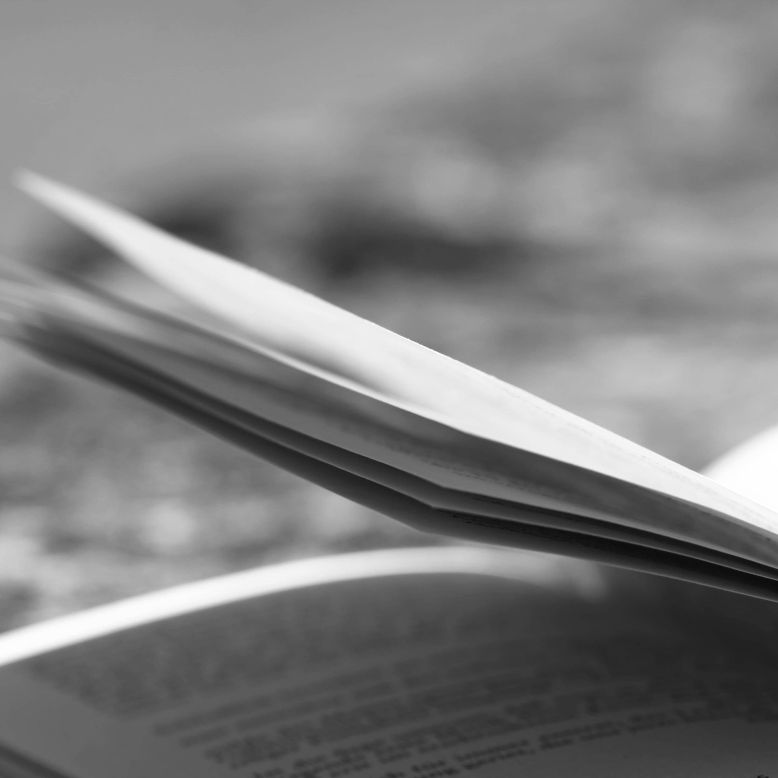 Capsule artistique Bibliothérapie