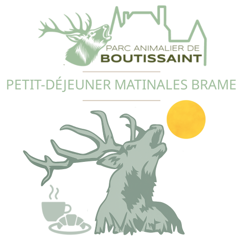 Matinales Brame du Cerf Week-end - AVEC Petit-déjeuner