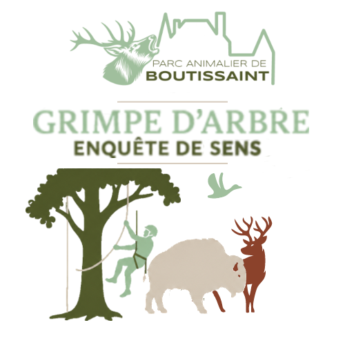 Grimpe d’arbre : Enquête de sens