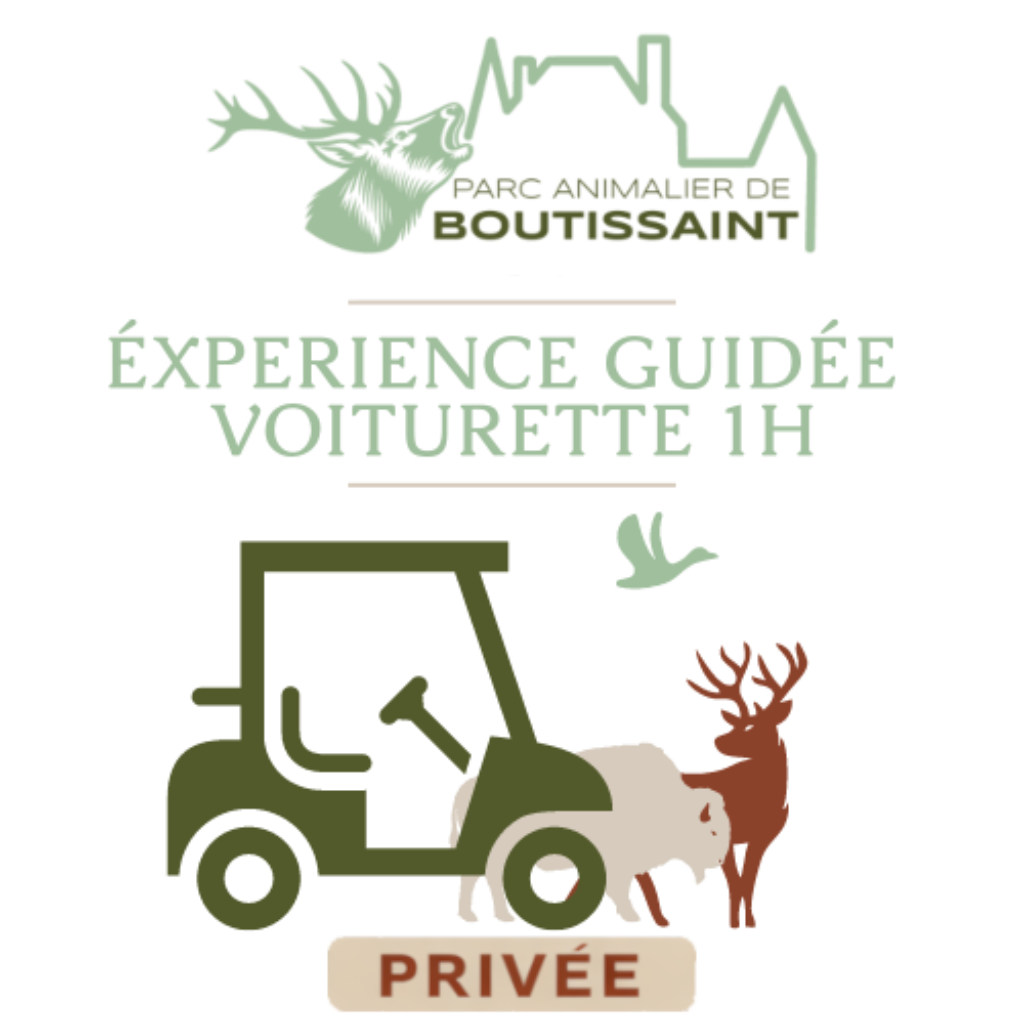 Visite Guidée PRIVÉE 1h en voiturette