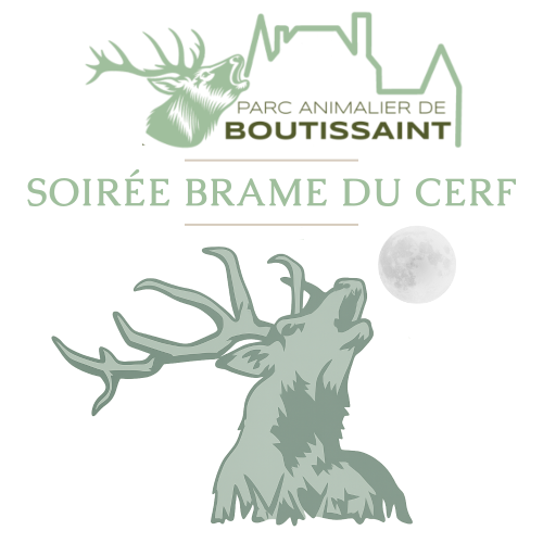 Soirées Brame du Cerf Week-end