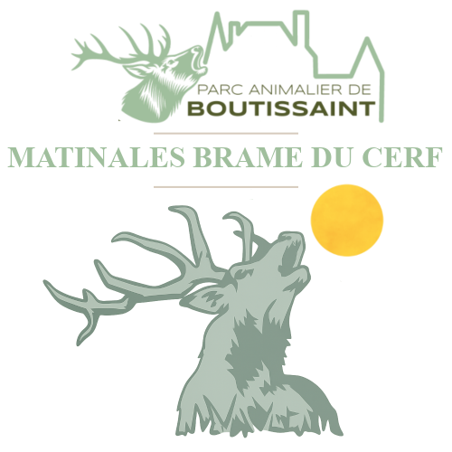 Matinales Brame du Cerf Week-end