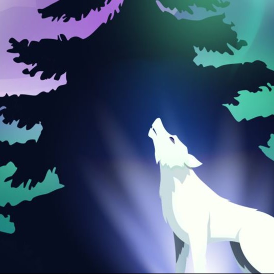 Pack Visite Libre + Nocturne Adulte