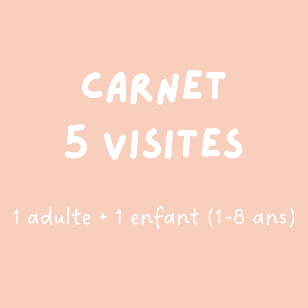 Entrée CARNET 5 VISITES