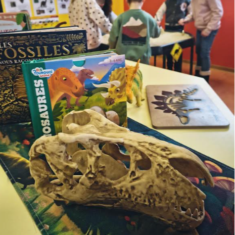 Atelier Dinosaures et fossiles