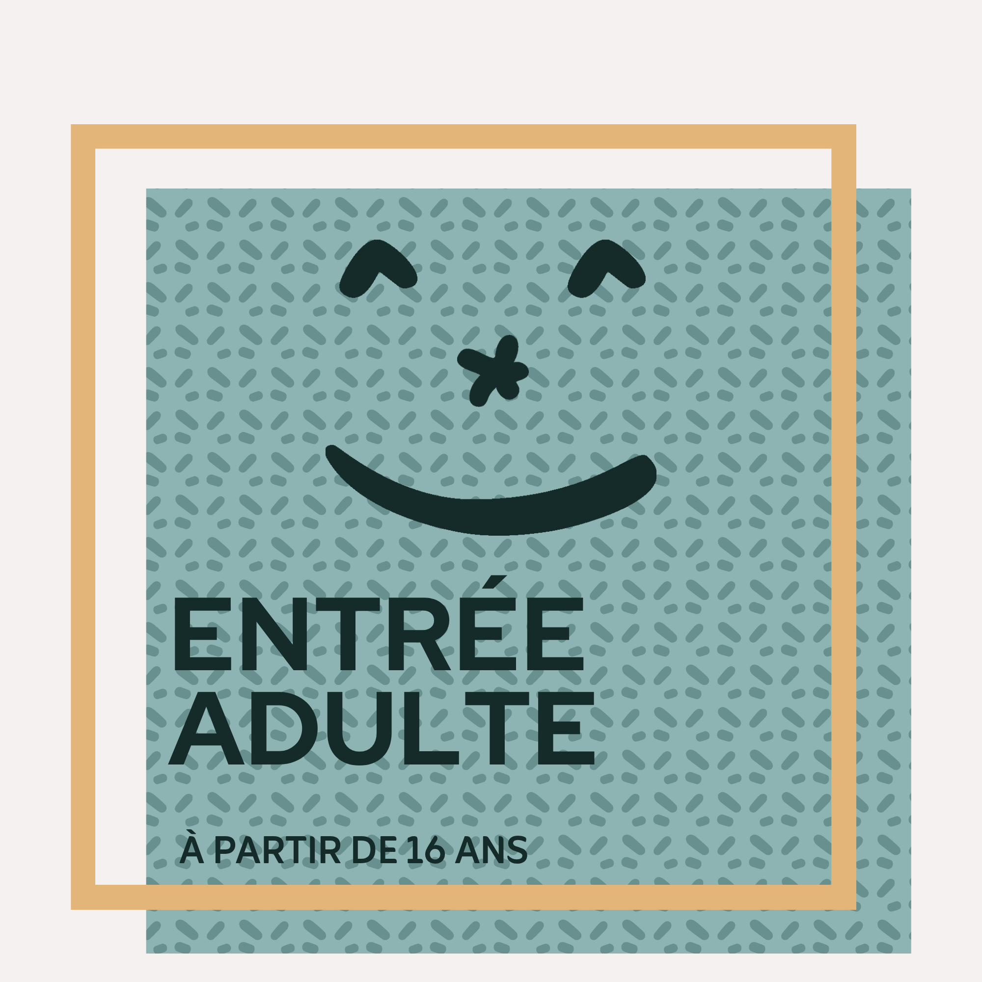 Entrée Adulte (+16 ans) OBLIGATOIRE