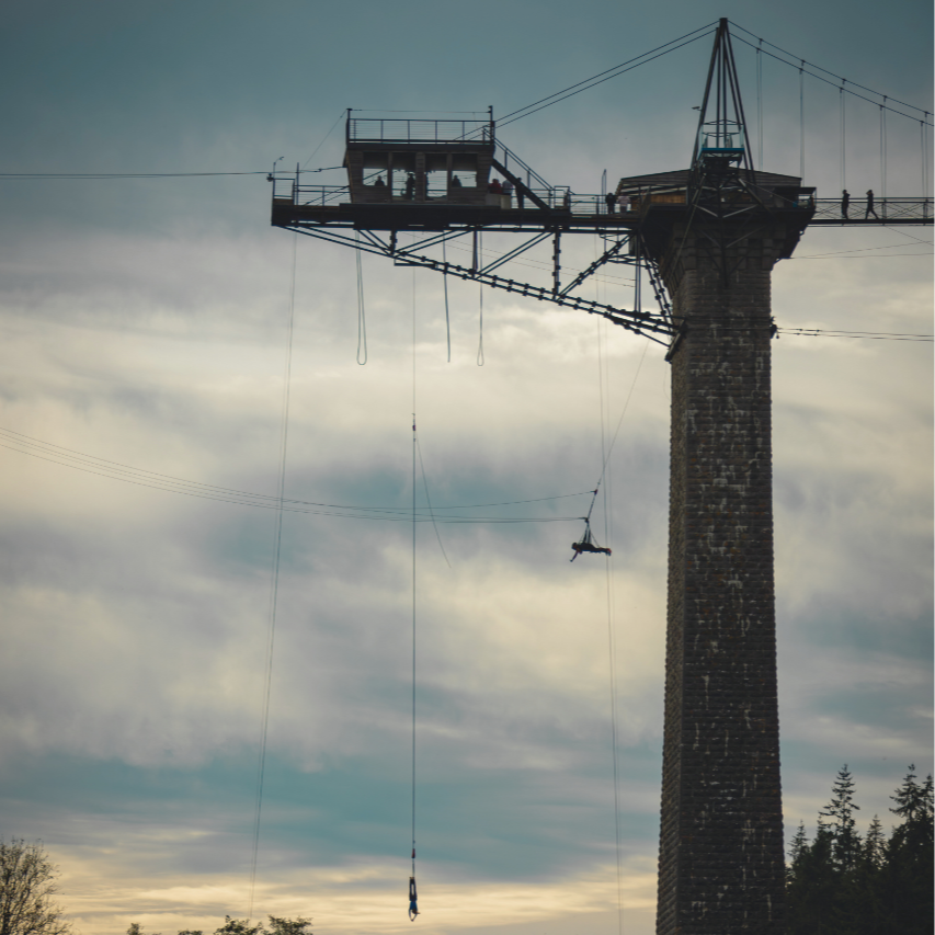 Balançoire géante - solo