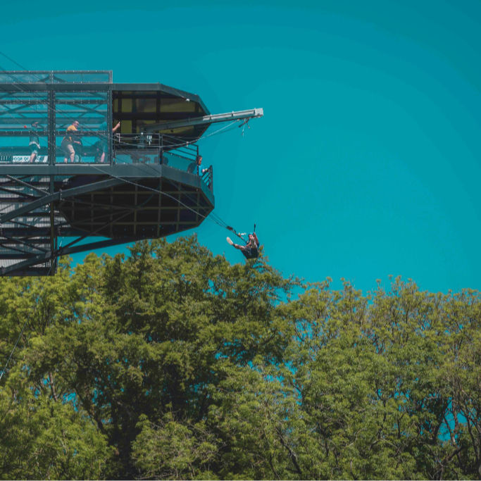 1er saut pendulaire - adulte