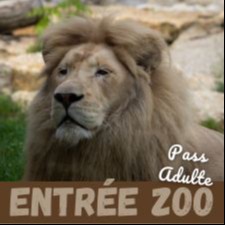 Bon pour un pass adulte