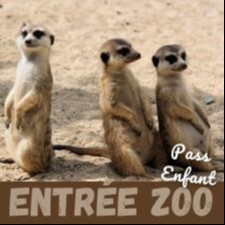 Bon pour un pass enfant