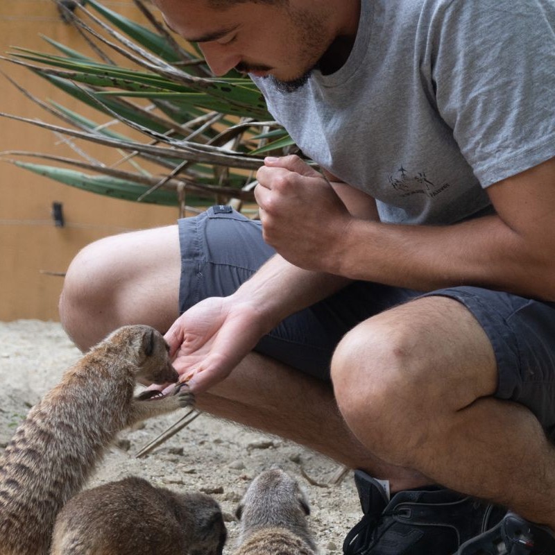 Bon cadeau soigneur d'un jour