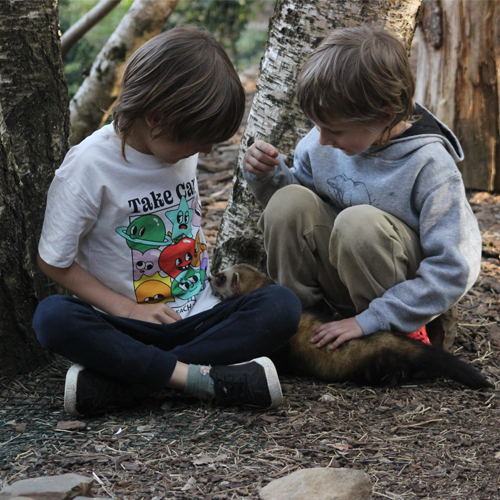 Soigneur enfant