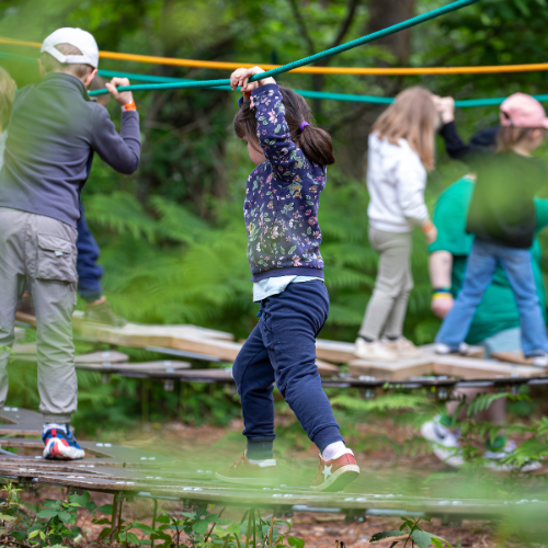 LE MONDE DES PITCHOUNS