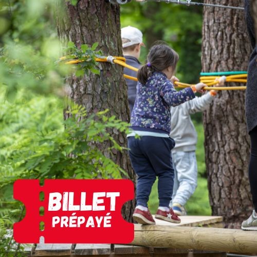 Billet CSE / Pack Famille / Bon cadeau - Le Monde des Pitchouns