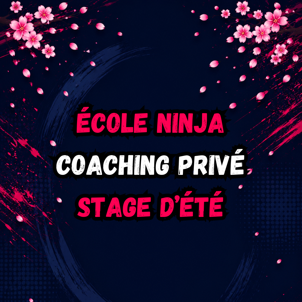 NINJA SCHOOL