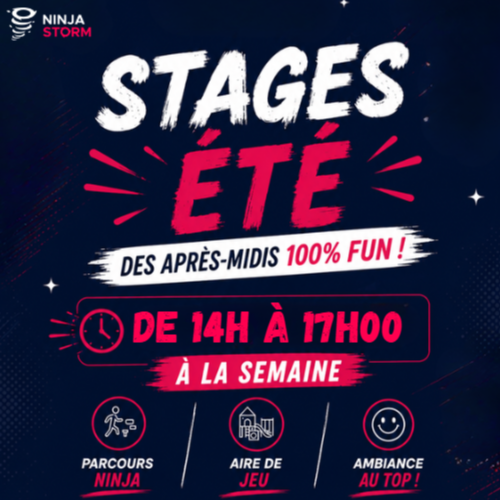 Stage D'Eté (Journée)