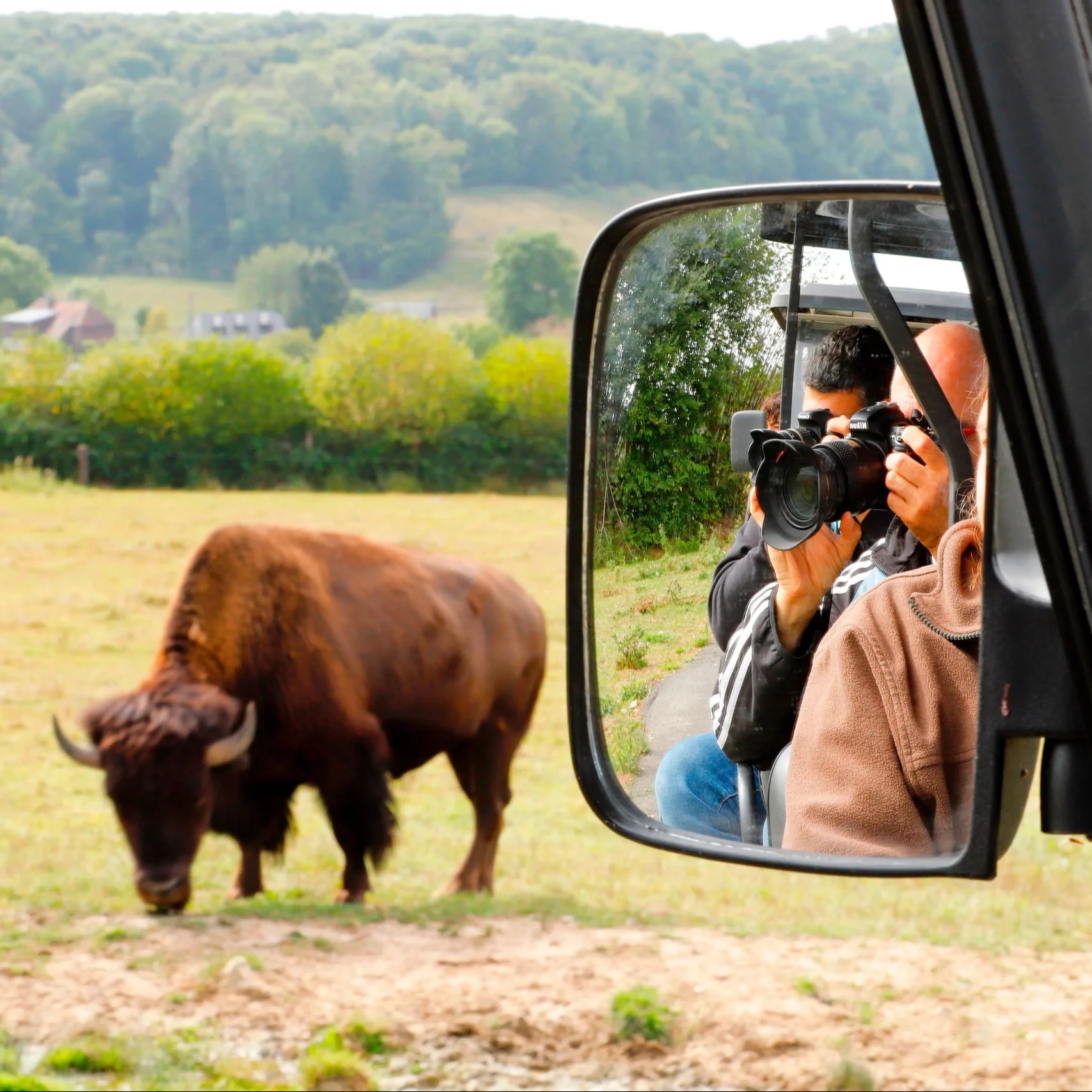 Expériences Privilége