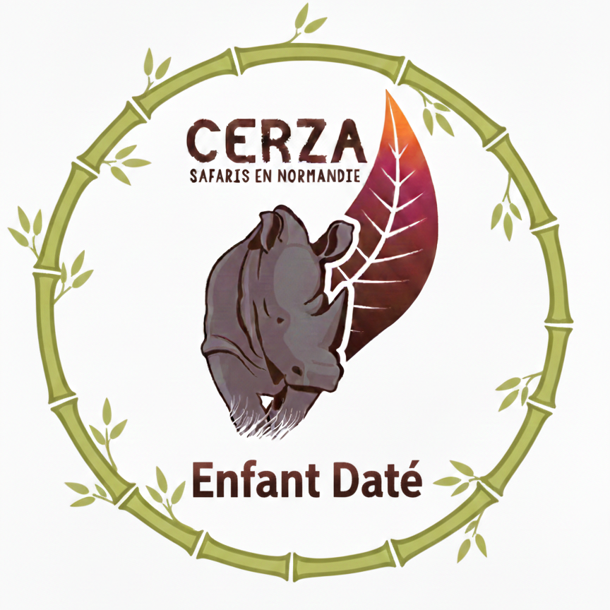 Enfant indiv Web daté J-3