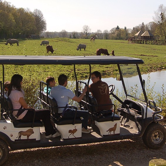 Safari Privilège VIP