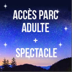 Billet Adulte Parc 1 JR + Spectacle de Drones