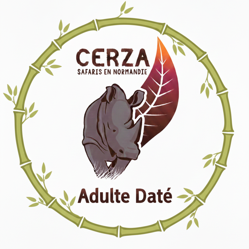 Adulte indiv Web Daté J-3