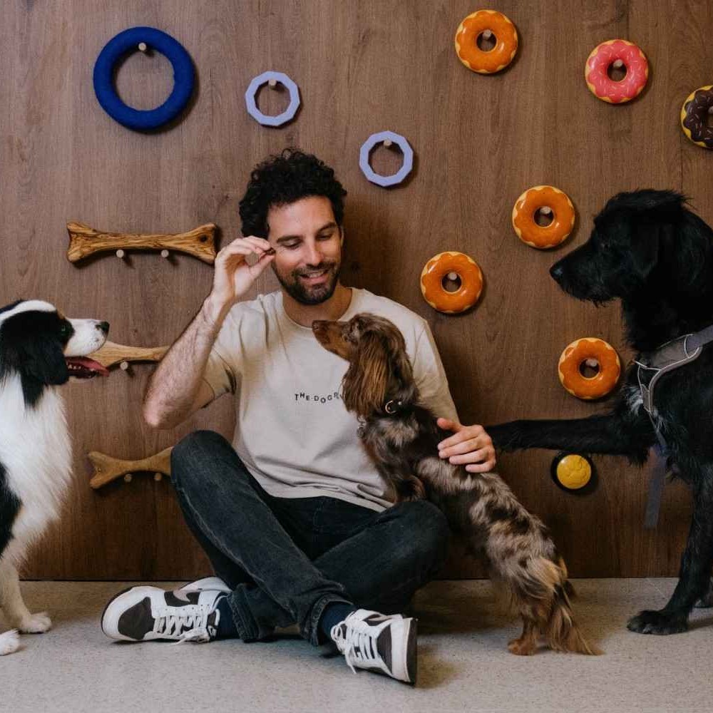 Vos entrées au Parc