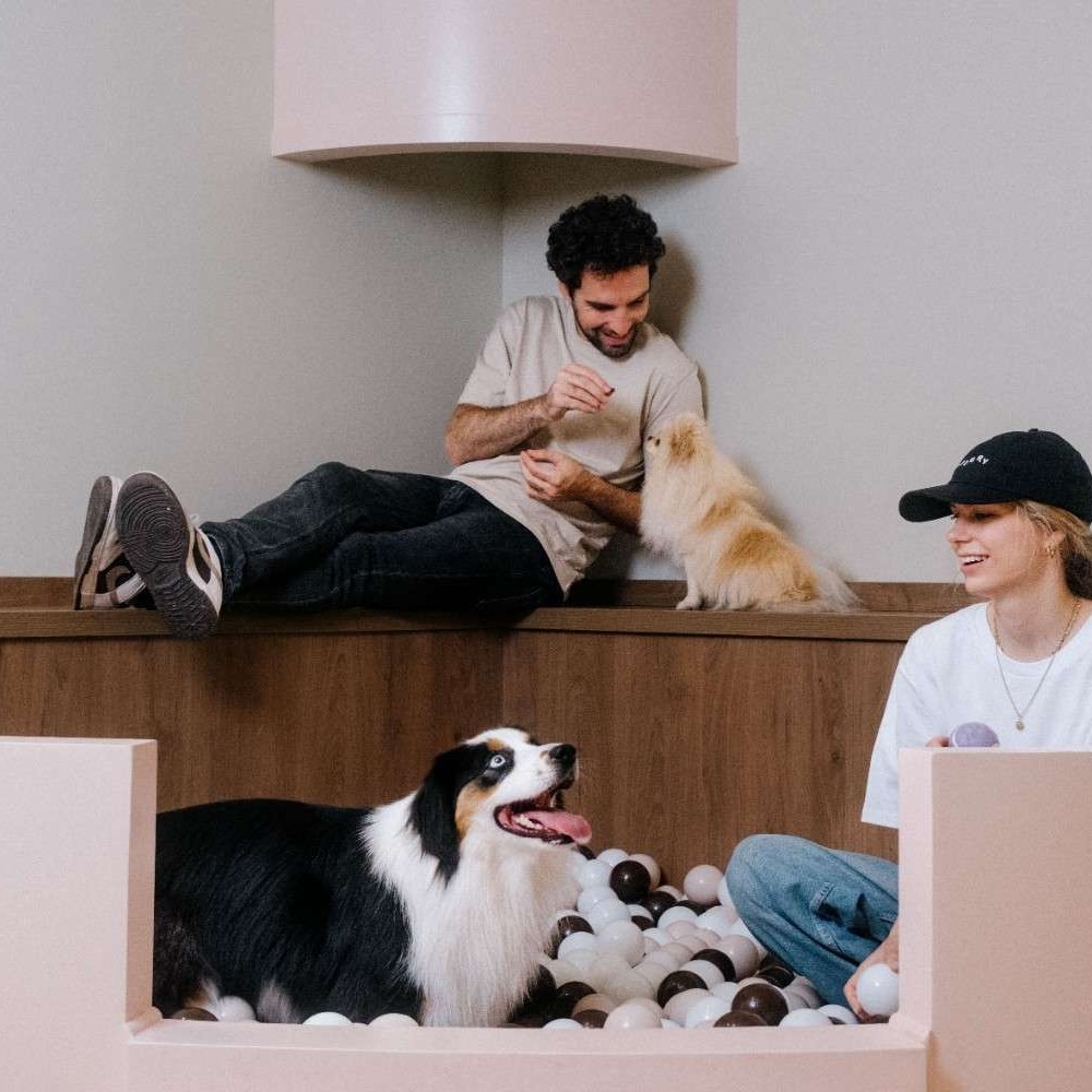 Entrée Pet Parent Supplémentaire