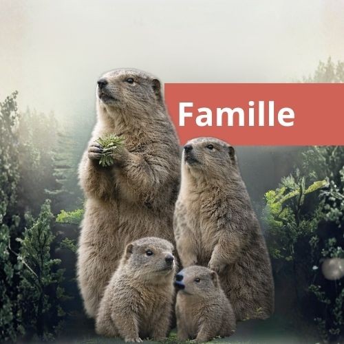 Famille 2 adultes + 2 enfants