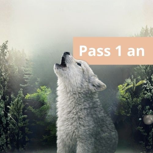 Enfant pass 1 an